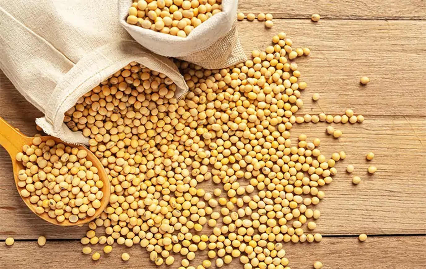 No momento, você está visualizando China enfrenta preços mais altos em novas compras de soja dos EUA para agradar Trump