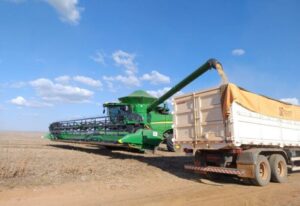 Leia mais sobre o artigo Colheita da soja atinge 27,7% em MS e fica abaixo do ritmo da safra passada