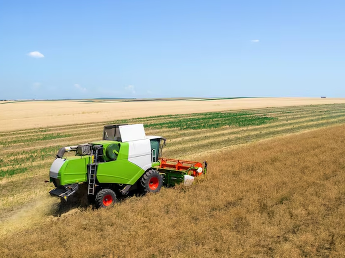 No momento, você está visualizando Exportação de soja do Brasil em fevereiro mantém ritmo abaixo em 2025