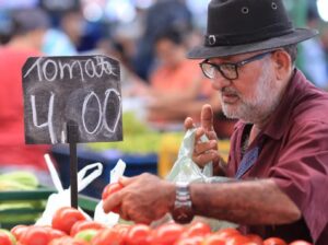 Leia mais sobre o artigo Produção de tomate bate recorde, mas clima desafia produção em 2026