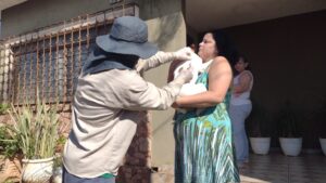 Leia mais sobre o artigo HOJE: Sesau leva vacinação antirrábica para 4 bairros de Campo Grande nesta terça (24)