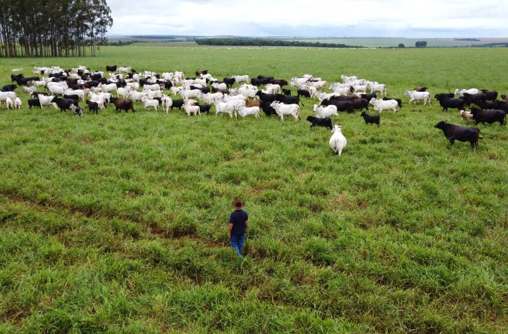 No momento, você está visualizando Com maior crescimento do país, agro de MS é fruto de incentivo, modernidade e sucesso do homem do campo