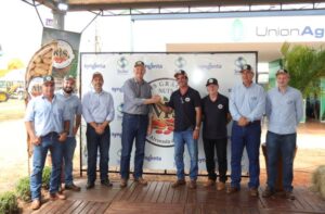 Leia mais sobre o artigo Cadeia do amendoim avança e atrai novos investimentos para Mato Grosso do Sul