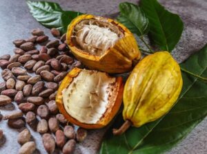 Leia mais sobre o artigo CACAU: Ajuda na prevenção de doenças; veja curiosidades sobre a fruta do chocolate