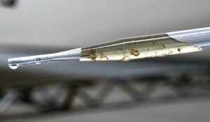 Leia mais sobre o artigo Número de mortos pela Chikungunya em MS sobe para seis; cinco apenas em Dourados