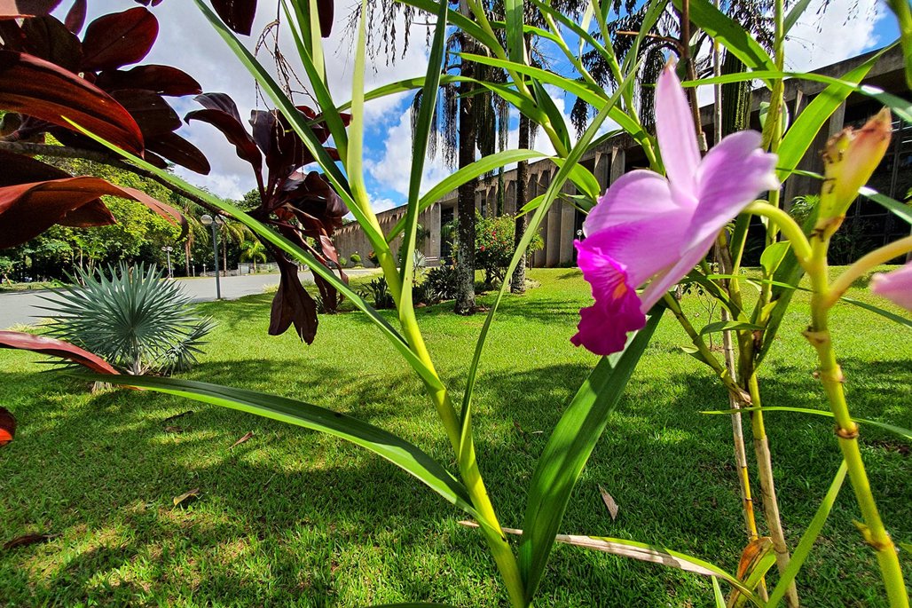 No momento, você está visualizando ALEMS: Visitas, reuniões e sessões plenárias movimentam a primeira semana de março