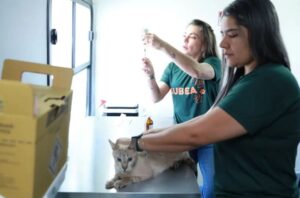 Leia mais sobre o artigo Subea divulga agenda do consultório móvel para abril