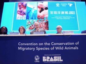 Leia mais sobre o artigo COP15 em Campo Grande enfatiza Judiciário na proteção de espécies migratórias