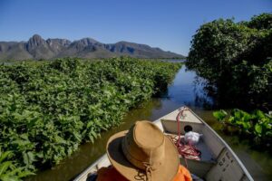 Leia mais sobre o artigo Prefeitura de Corumbá repudia declaração sobre pesca esportiva no Pantanal
