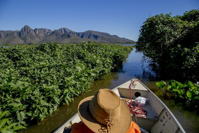 No momento, você está visualizando Prefeitura de Corumbá repudia declaração sobre pesca esportiva no Pantanal