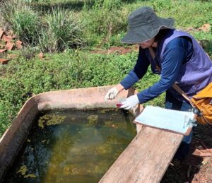 Leia mais sobre o artigo Prefeitura de Dourados registra quarta morte por chikungunya nas aldeias e alerta para o avanço da doença