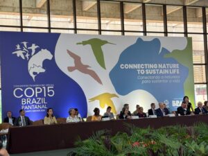 Leia mais sobre o artigo Governo cria novas unidades de conservação e define metas para a COP15 em Campo Grande