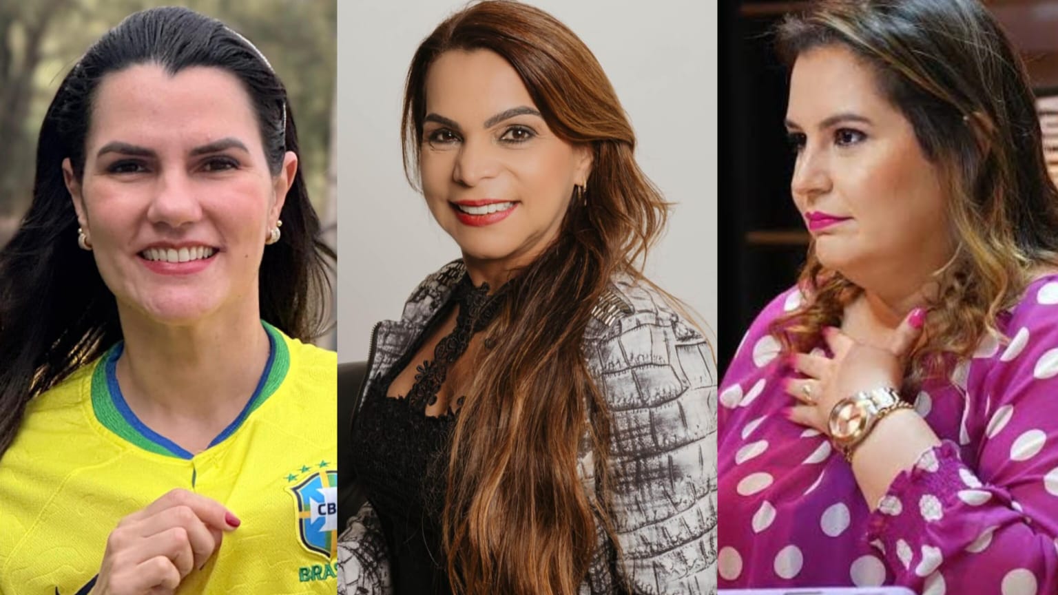 No momento, você está visualizando PRÉ-CAMPANHA: Naviraí tem três nomes femininos em articulação para a Assembleia Legislativa