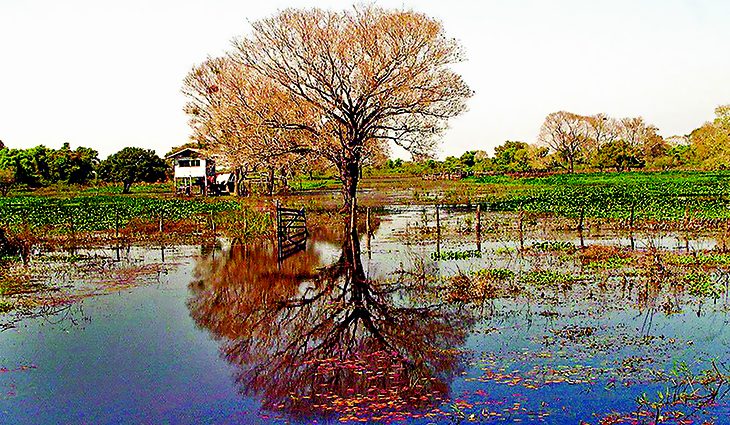 No momento, você está visualizando Outono começa em MS com calor e previsão de pancadas de chuva