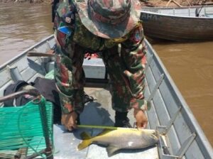 Leia mais sobre o artigo LIBERADA: Piracema termina e pesca está liberada em rios de Mato Grosso do Sul