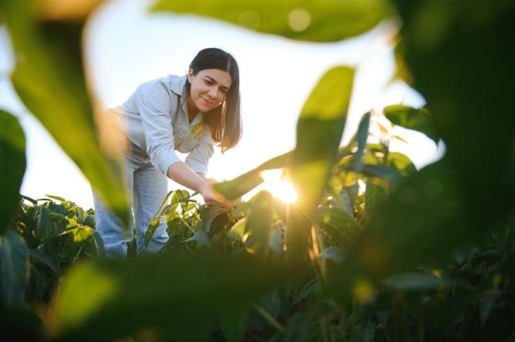 No momento, você está visualizando Mulheres ganham espaço no agro e lideram 27% das propriedades atendidas pelo Senar/MS