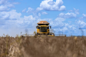 Leia mais sobre o artigo Colheita de soja é concluída em Dourados, com bom rendimento das lavouras