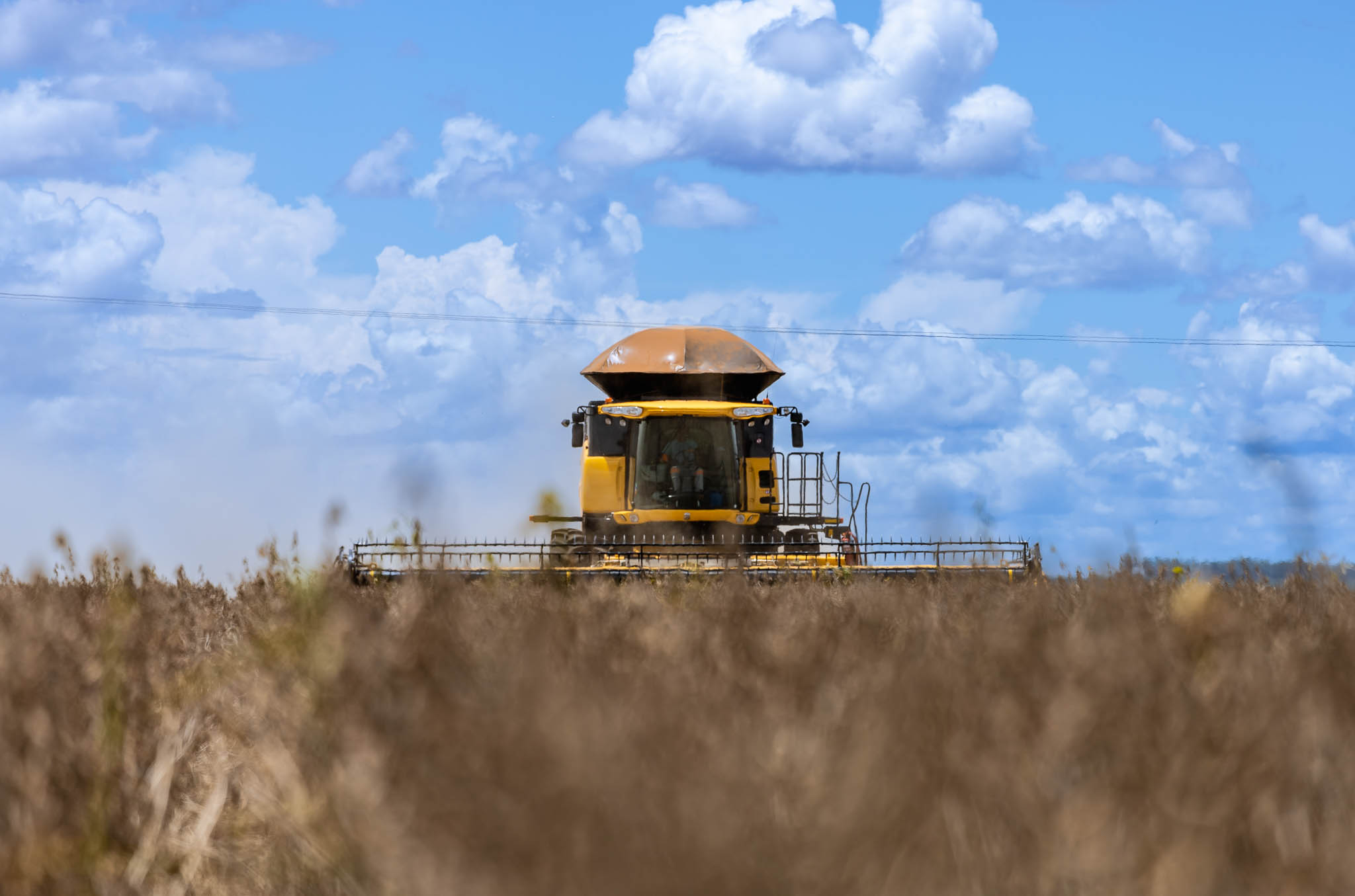 No momento, você está visualizando Colheita de soja é concluída em Dourados, com bom rendimento das lavouras