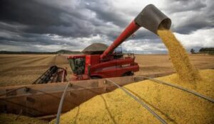 Leia mais sobre o artigo Colheita da soja chega a 98% em MS e produção deve bater 17,7 milhões de toneladas