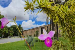 Leia mais sobre o artigo ALEMS: Sessões, CCJR e palestra de conscientização sobre autismo movimentam a semana na Casa de Leis