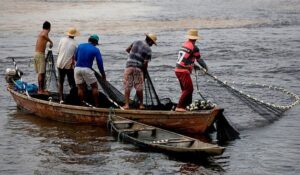 Leia mais sobre o artigo Congresso aprova MP que regulariza seguro-defeso para pescadores