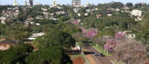 Leia mais sobre o artigo Dourados fica entre as 50 cidades mais arborizadas do Brasil em avaliação internacional