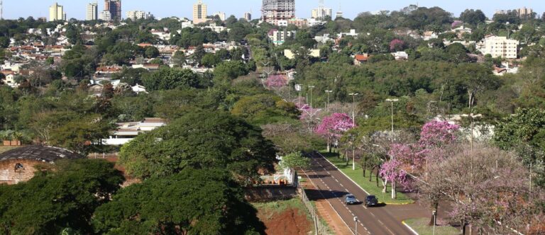 No momento, você está visualizando Dourados fica entre as 50 cidades mais arborizadas do Brasil em avaliação internacional