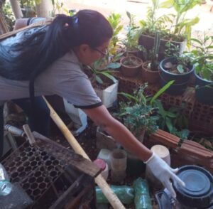 Leia mais sobre o artigo Dourados registra cinco mortes por chikungunya e investiga mais duas