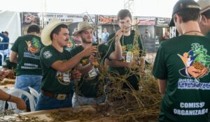 Leia mais sobre o artigo Festa do Pé de Soja Solteiro reúne produtores e celebra força do agronegócio em MS