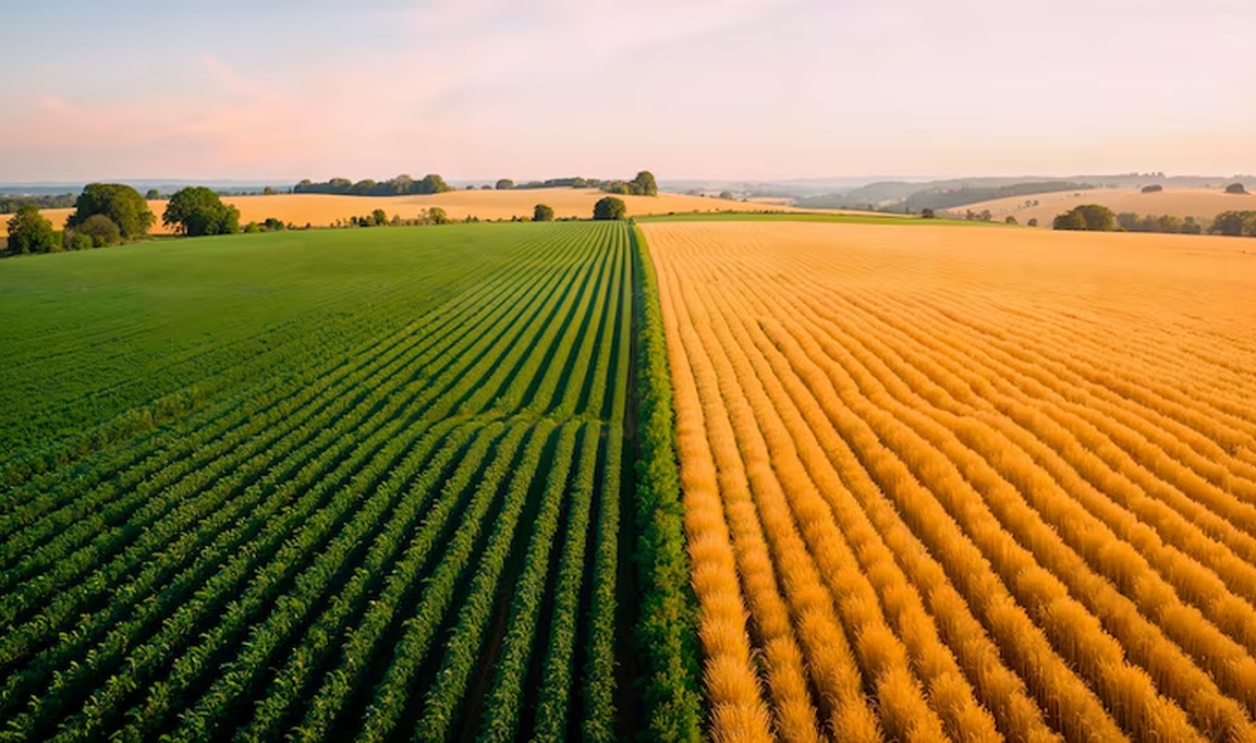 No momento, você está visualizando A potencialidade do agro brasileiro no acordo Mercosul-União Europeia