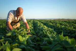 Leia mais sobre o artigo Prodes trava financiamentos para agricultura familiar