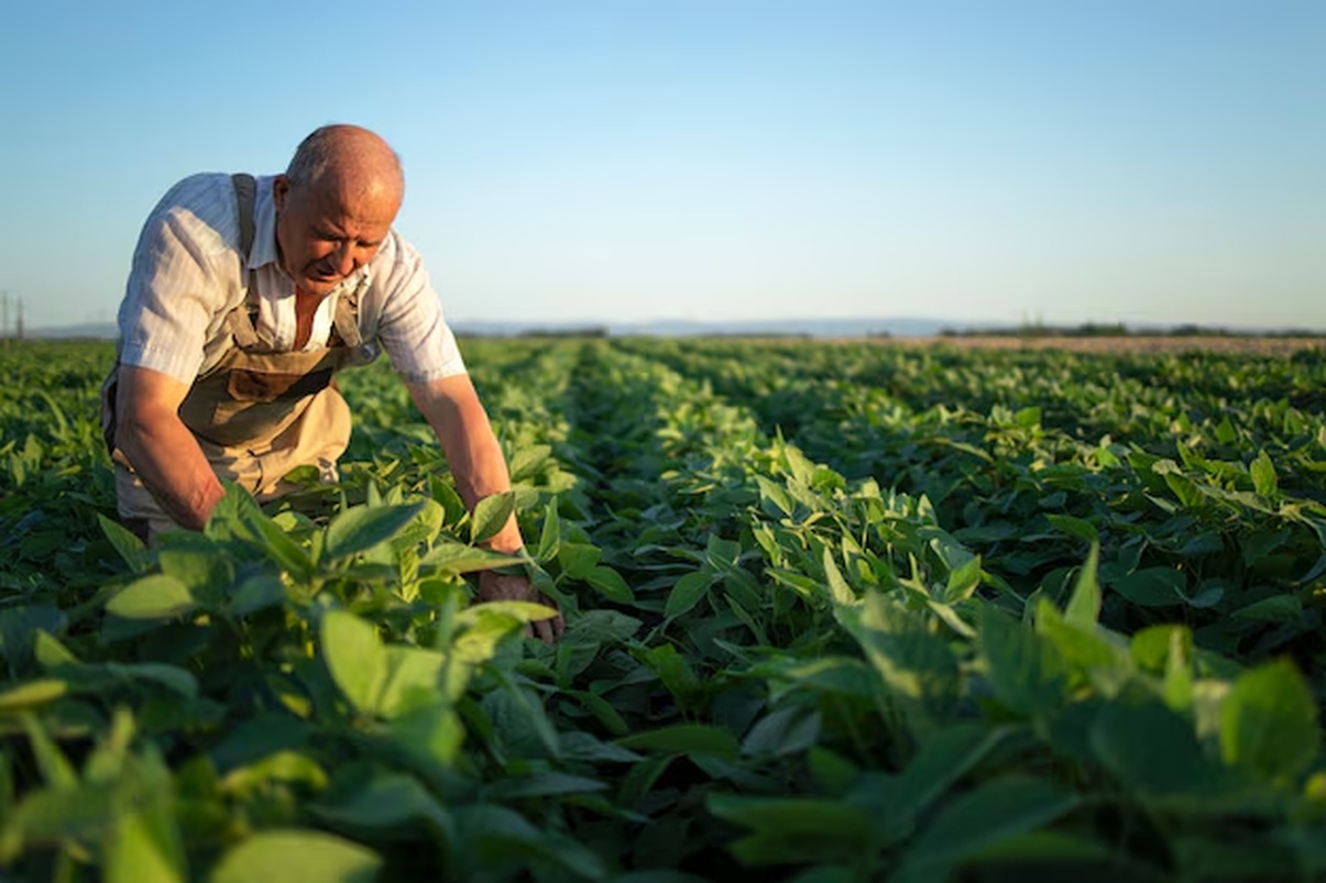 No momento, você está visualizando Prodes trava financiamentos para agricultura familiar