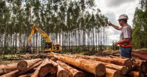 Leia mais sobre o artigo Suzano abre novas vagas em MS nas áreas florestal, administrativa e de manutenção