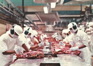 Leia mais sobre o artigo Exportações de carne bovina de MS para a China crescem 57% antes de nova tarifa chinesa