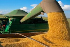 Leia mais sobre o artigo MS amplia força no agro com exportações acima de US$ 10 bilhões