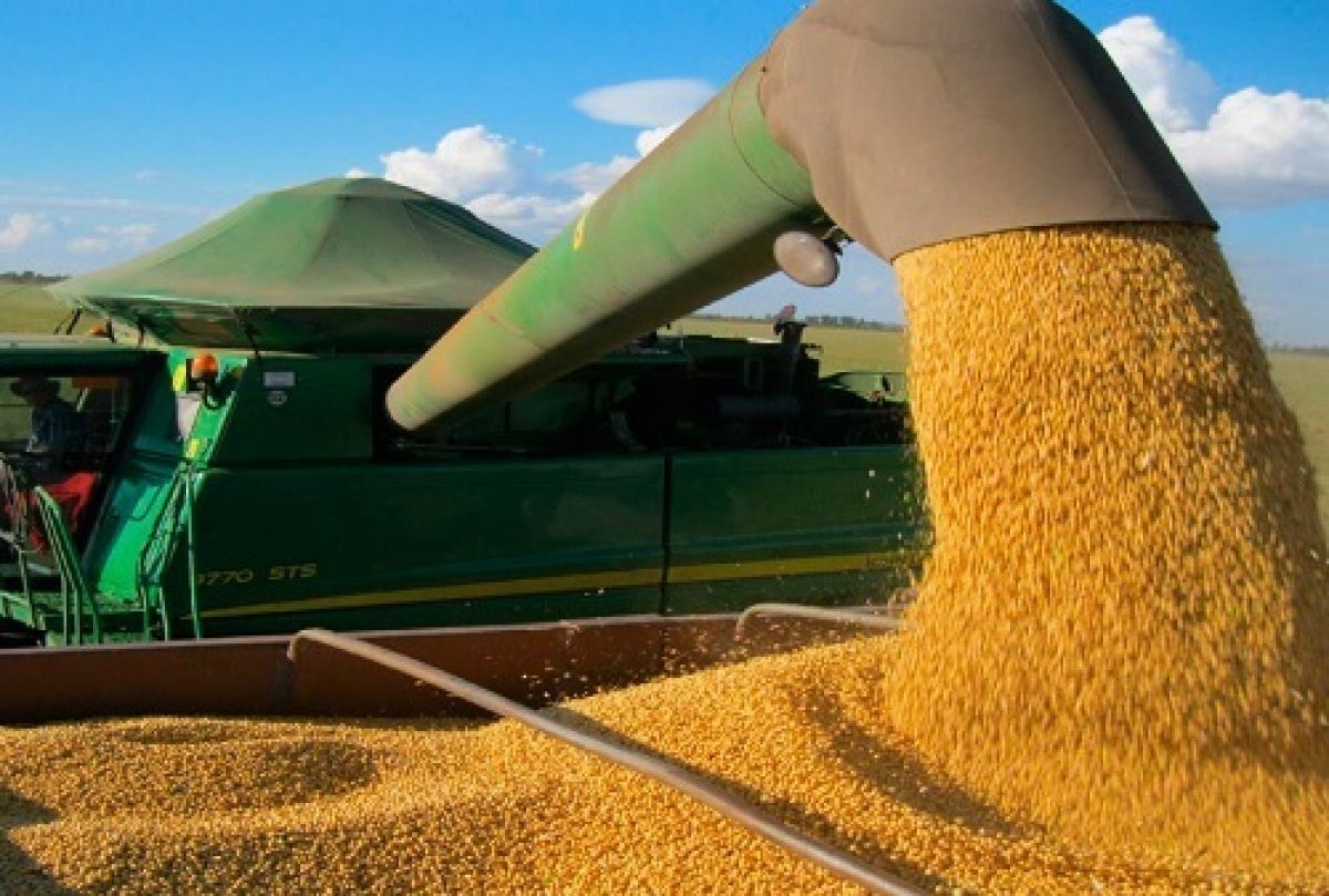 No momento, você está visualizando MS amplia força no agro com exportações acima de US$ 10 bilhões