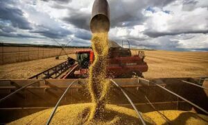 Leia mais sobre o artigo MS amplia força no agro com exportações acima de US$ 10 bilhões
