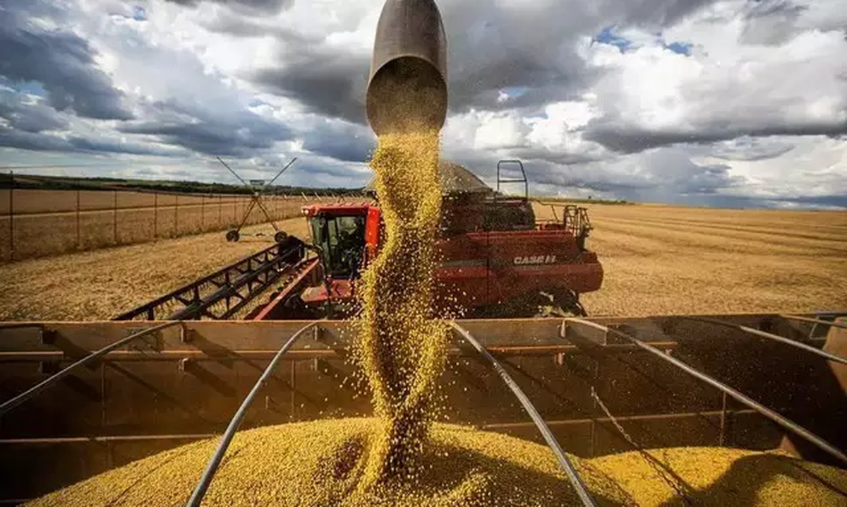 No momento, você está visualizando MS amplia força no agro com exportações acima de US$ 10 bilhões