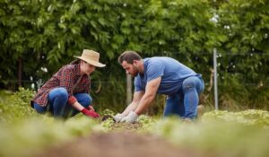 Leia mais sobre o artigo Novo Desenrola inclui micro e pequenas empresas e agricultores