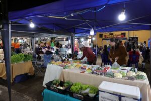 Leia mais sobre o artigo Parque dos Ipês em Dourados tem programação especial com feiras gastronômica e de economia solidária