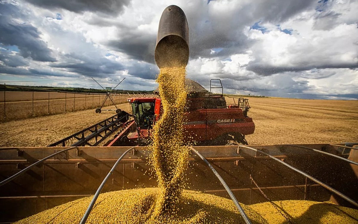 No momento, você está visualizando PIB da agropecuária cresce 2% no trimestre e soma 7% do PIB