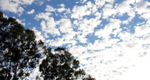 Leia mais sobre o artigo Frio perde força em MS