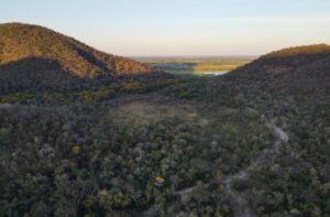 Leia mais sobre o artigo Governo de MS amplia conservação do Pantanal com pagamento a produtores rurais