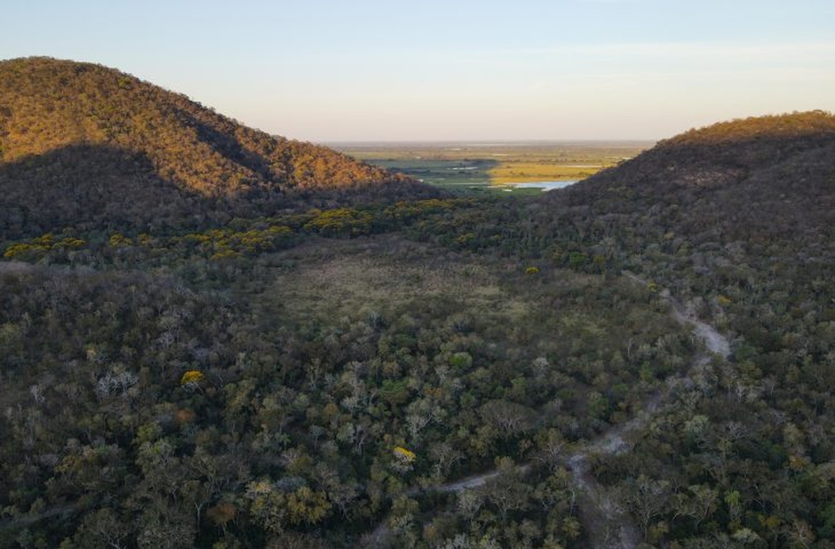 No momento, você está visualizando Governo de MS amplia conservação do Pantanal com pagamento a produtores rurais