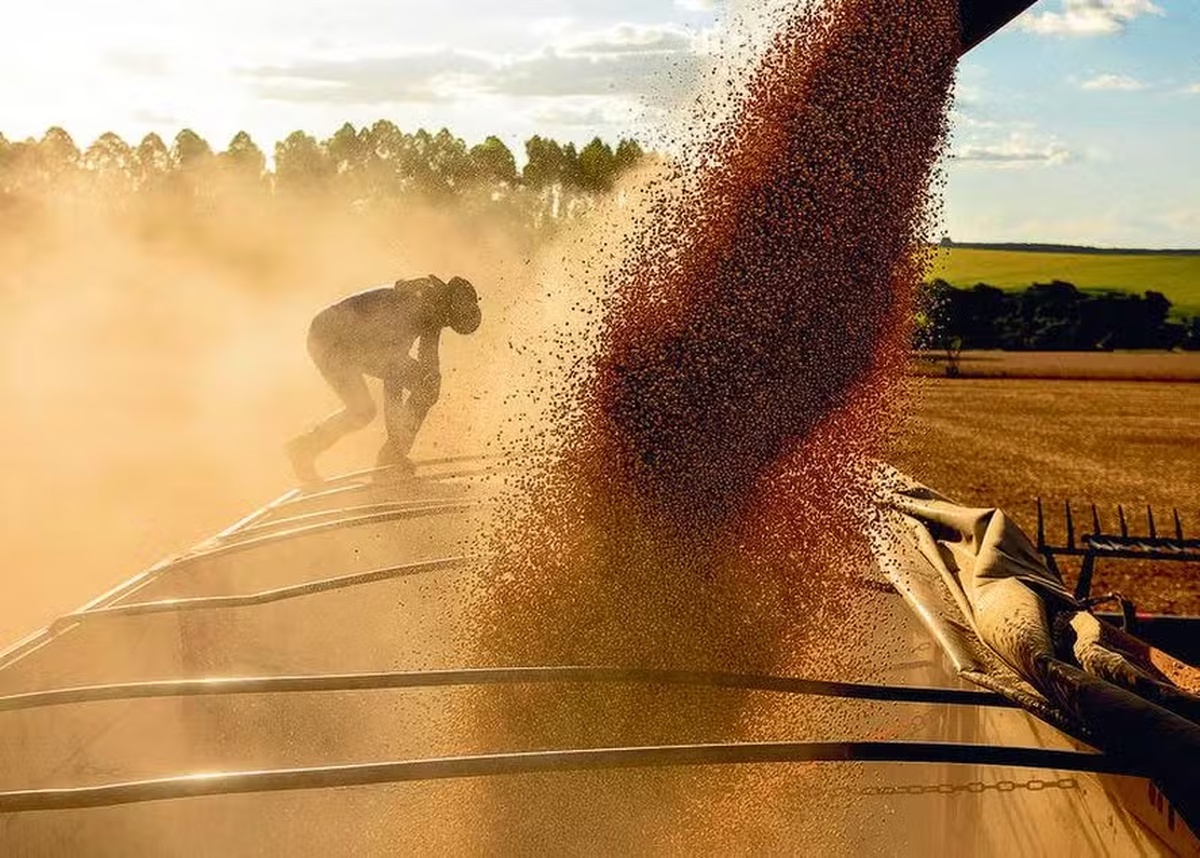No momento, você está visualizando Inadimplência no agro brasileiro sobe para 8,2%, mostra Serasa
