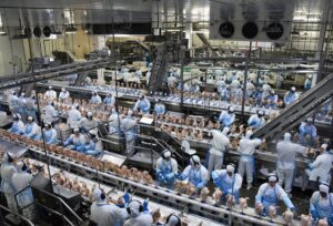 Leia mais sobre o artigo Indústria de MS supera US$ 3 bilhões em exportações e alcança um dos melhores resultados da história
