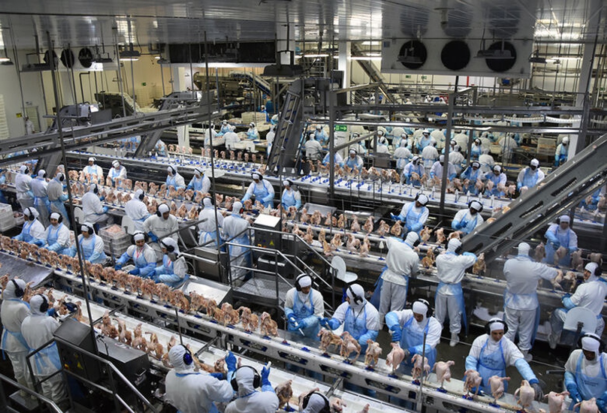 No momento, você está visualizando Indústria de MS supera US$ 3 bilhões em exportações e alcança um dos melhores resultados da história