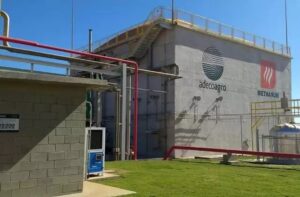 Leia mais sobre o artigo Mineração de bitcoins começará em julho em MS usando energia da cana-de-açúcar