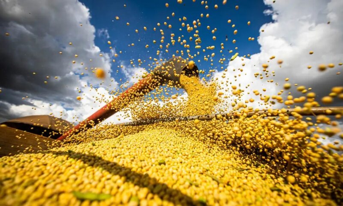 No momento, você está visualizando Produção de grãos no Brasil deve bater novo recorde e chegar a 358,6 milhões de toneladas