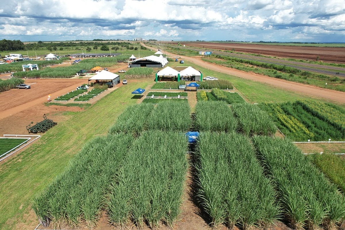 No momento, você está visualizando Tecnologias e inovação no campo marcam a participação do Senar-MS na Tecnofam 2026 em Dourados, entre 9 e 11 de junho
